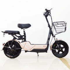Electric City bike Lithium battery
