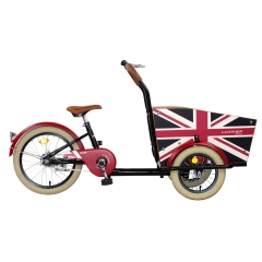 Custom cargo bike small size