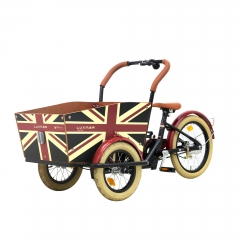 Custom cargo bike small size