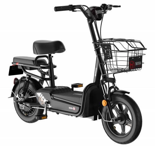 electric bike price under 30000