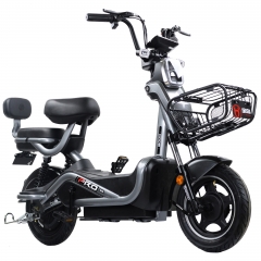 2021 fashion electric bicycle 14