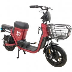 Doul cycling mode electric bike