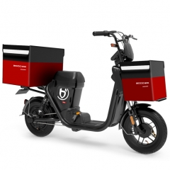 Doul cycling mode electric bike