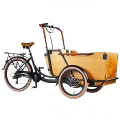 Padel assist Electric cargo bike three wheel
