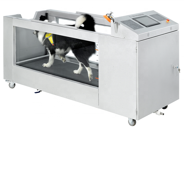 underwater treadmill for dogs cost,dog water treadmill cost,underwater