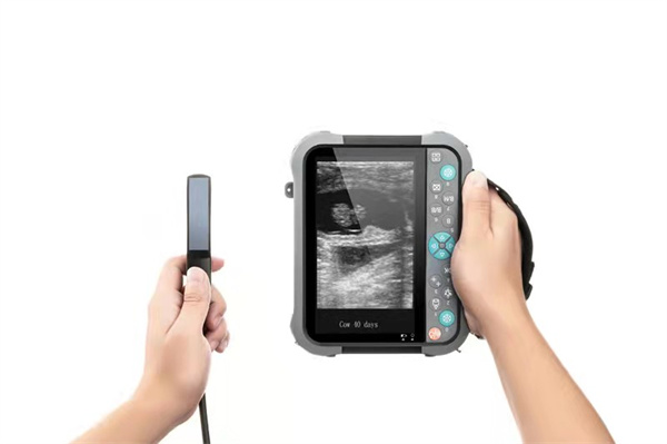 Veterinary Waterproof Palm Ultrasound Scanner YHVET-M5