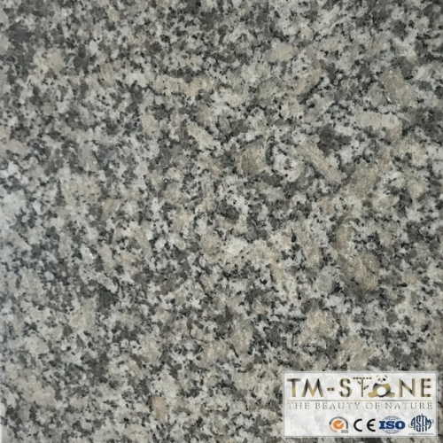 TM-F003 G602 Grainte Stone Floor