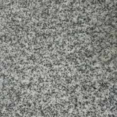 TM-F004 G603 Grainte Floor