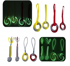 Glowing in Dark Pet Webbing Toy