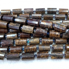 bronzite