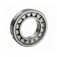 Cylindrical Roller Bearing NUP22 Series