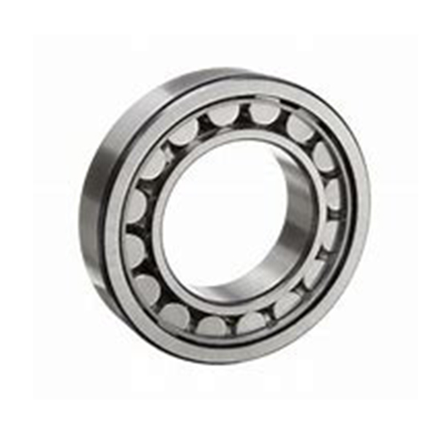 Cylindrical Roller Bearing NUP22 Series