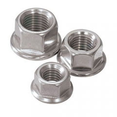 Hex Flange Nut