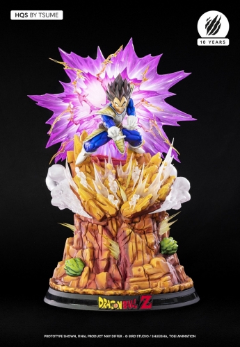 (Sold out)DRAGON BALL Z Vegeta Galick Gun 1/6 Scale Statue By Tsume-Art(AU only)