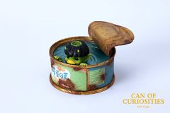 Can Of Curiosities Little Kappa By WeArtDoing