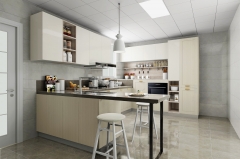 Kitchen Cabinets & Worktops