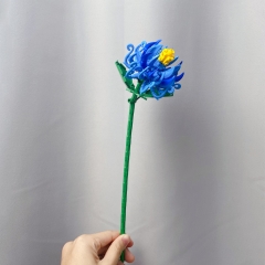 Chrysanthemum Blue