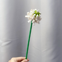 Trifolium White