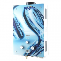 Gas Water Heater JSD-GC1F