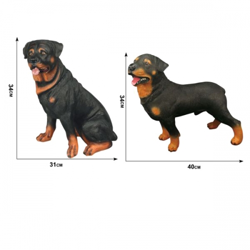 MODELLO DI ROTTWEILER