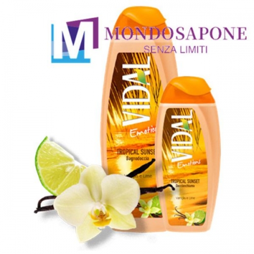 VIDAL BAGNO 500ML VANIGLIA/ LIME