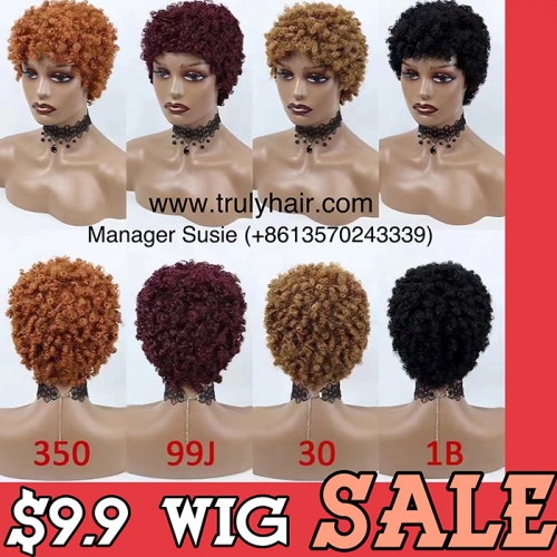 Promotion wig USD 9.9 only