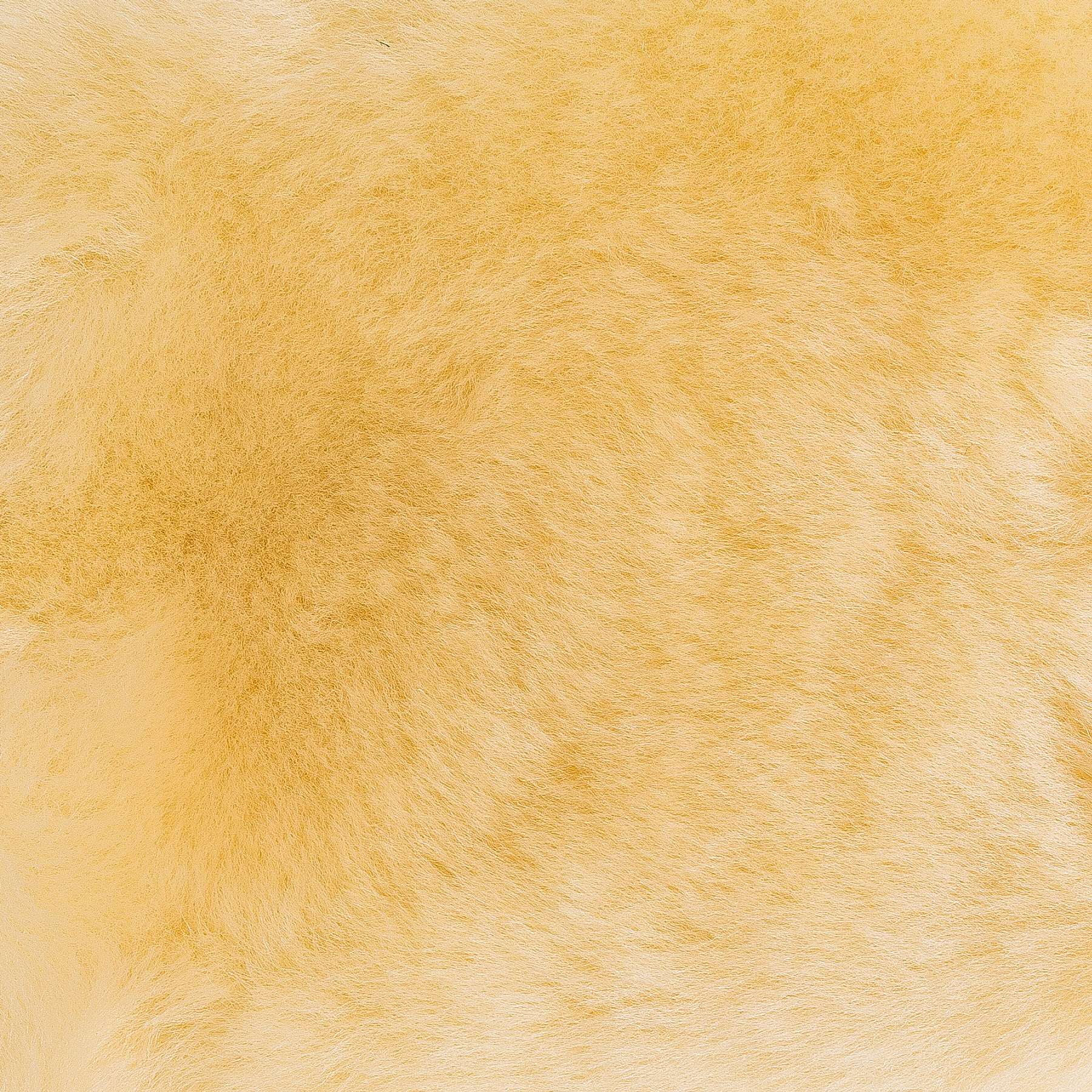 Full sheepskin Gloves horse equestrian supplies