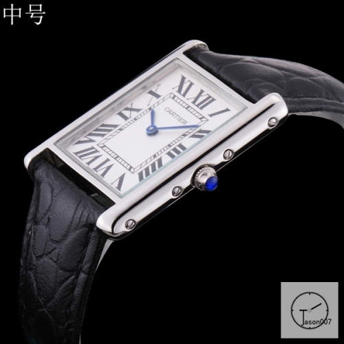 Cartier Tank Solo Middle Size Silver Dial Diamond Bezel Quartz Movement Black Leather Strap Mens Watch Fh1904525850