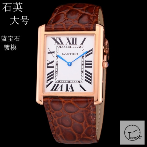 Cartier Tank Solo Big Size Silver Dial Quartz Movement Brown Leather Strap Mens Watch Fh1906525830