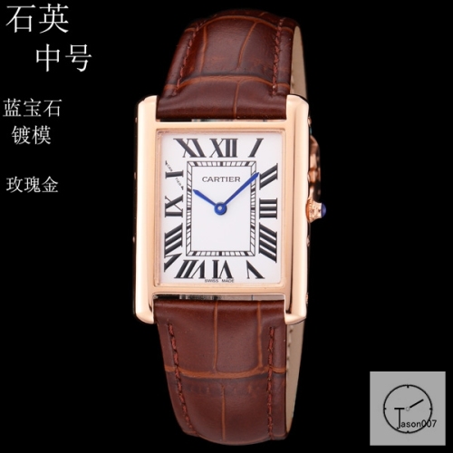Cartier Tank Solo Middle Size Silver Dial Quartz Movement Brown Leather Strap Mens Watch Fh1919525830