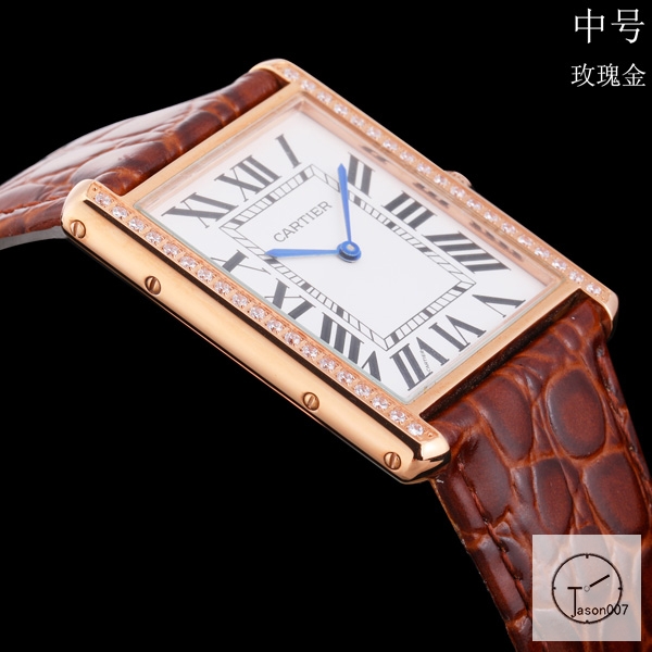 Cartier Tank Solo Big Size Silver Dial Diamond Bezel Quartz Movement Brown Leather Strap Mens Watch Fh1906525870