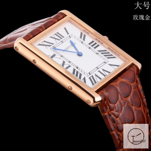 Cartier Tank Solo Big Size Silver Dial Quartz Movement Brown Leather Strap Mens Watch Fh1906525830