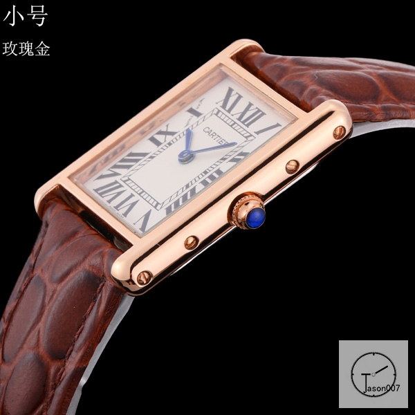 Cartier Tank Solo Small Size Silver Dial Quartz Movement Brown Leather Strap Mens Watch Fh1907525830