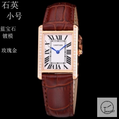 Cartier Tank Solo Small Size Silver Dial Diamond Bezel Quartz Movement Brown Leather Strap Mens Watch Fh1923525870