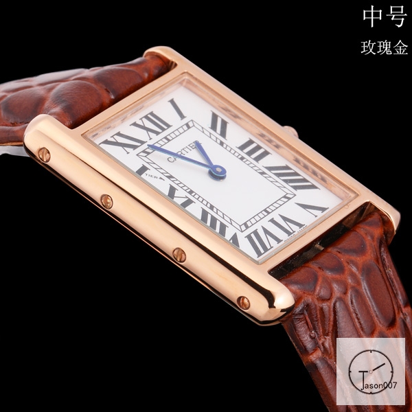 Cartier Tank Solo Middle Size Silver Dial Quartz Movement Brown Leather Strap Mens Watch Fh19065225830