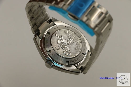 Omega Seamaster Bumblebee Automatic Movement Stainless Steel OM2613220
