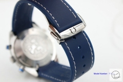 Omega Seamaster Planet Ocean Quartz Movement Chronograph Rubber STRAP OM26987420