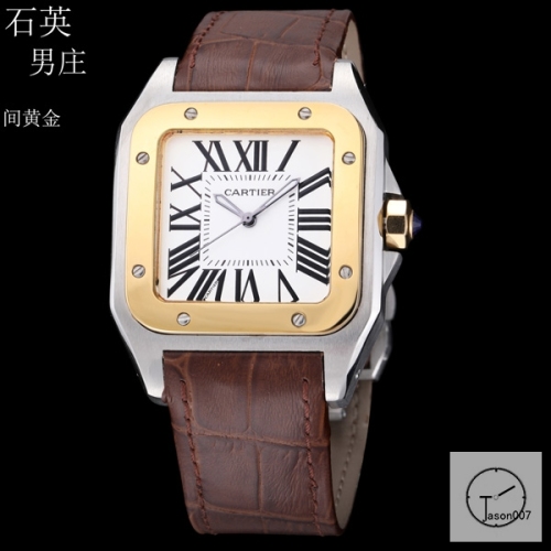 Cartier Santos 100 XL Stainless Case Silver Dial Two Tone Case Quartz Movement Brown Leather Strap Mens Watch Fh29871525850