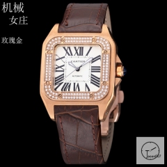 Cartier Santos 100 XL White Dial Diamond Bezel Two Tone Yellow Gold Automatic Movement Brown Leather Strap Womens Watch Fh256366525880