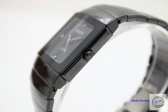 Rado SINTRA Series Mens 31MM Silver Hand Wirst Watch Full Ceramic High Tech Ceramic Black Ra94157810