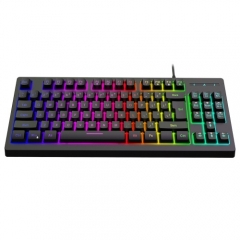 YWYT Y200 USB Wired Gaming Keyboard Membrane Keyboard 87 Keys Layout RGB Light Effect ABS Two-color Injection Molding Keycap