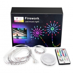 BT Connected Firework LEDs Strips Light