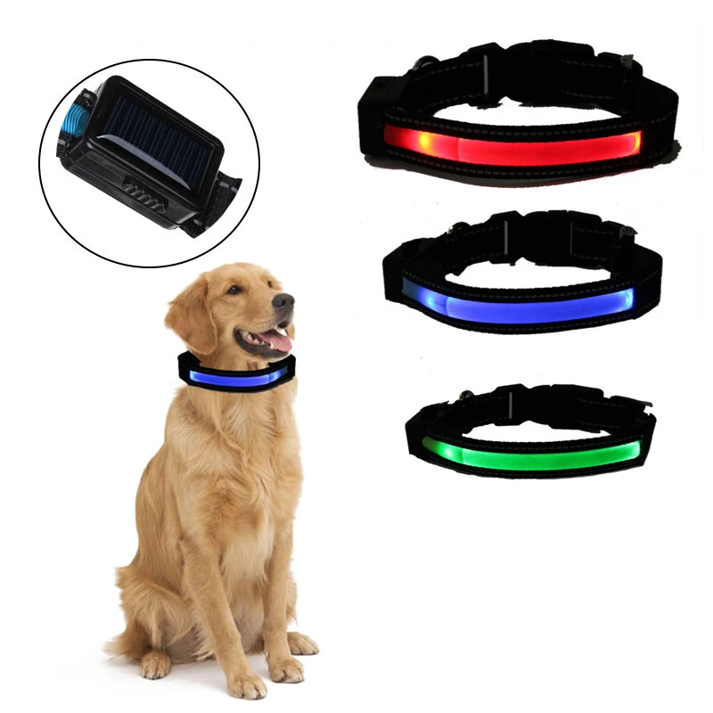 LED Dog Collar Anti-Lost Solar 2 Modes Luminous Pet Collar Warning Safety Night Light Dog Ring Puppy Supplies - Red S