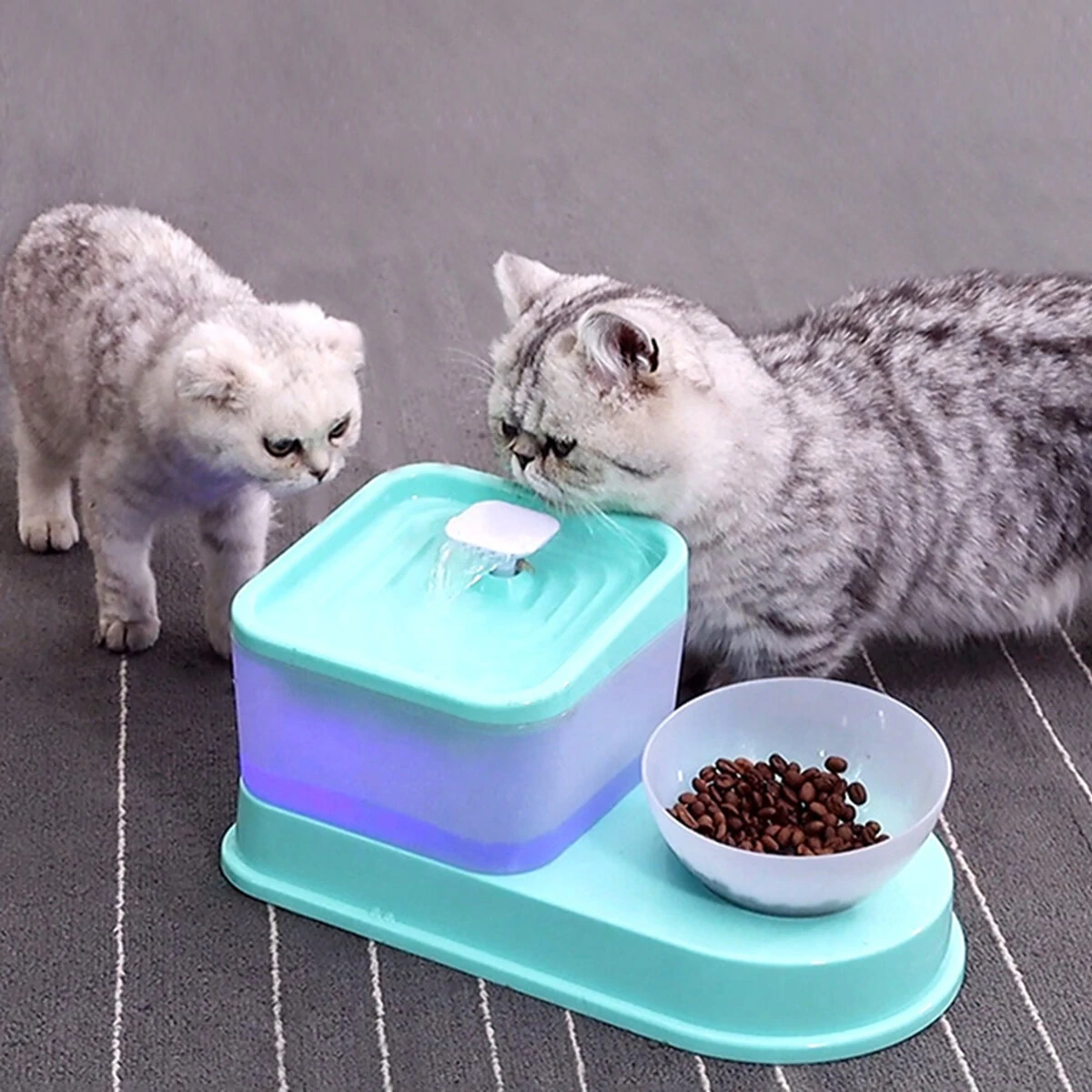 2L Pet dog Cat Water Fountain Drinking Electric Dispenser Drinker Silent Pet Feeder Puppy Supplies Slow-eating Bowl - Blue Type 1