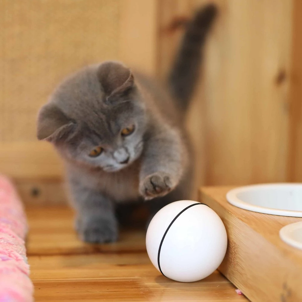 Smart Interactive Cat Toy Ball, Automatic Rolling Ball USB Rechargeable Cat Light Toy