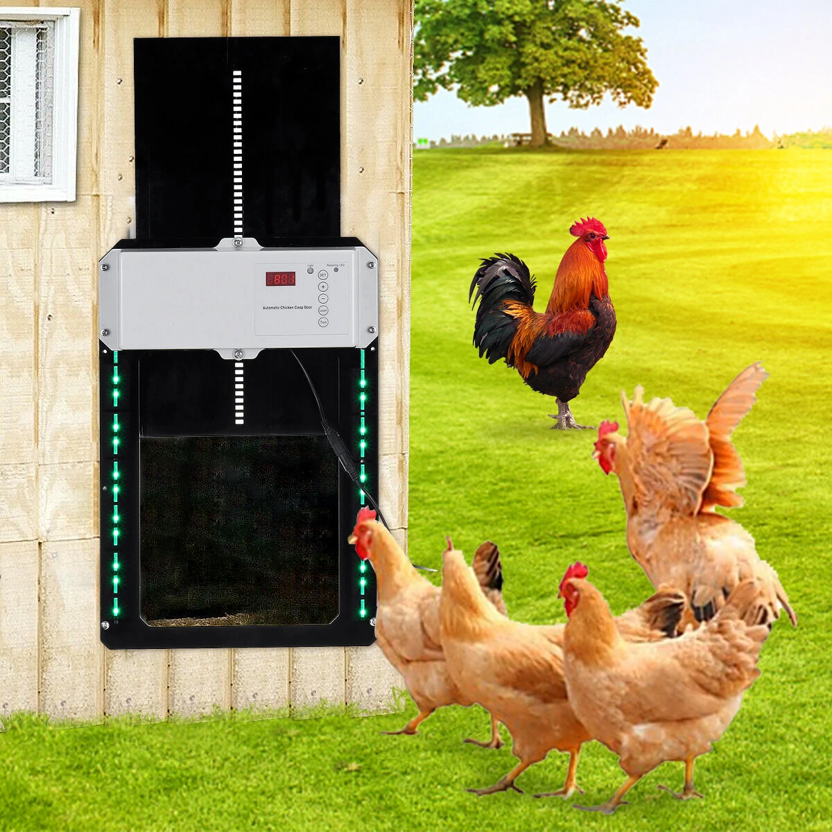 Automatic Chicken Coop Door Light-sensitive Automatic Puppy House Door High Quality And Practical Chicken Pets Supplies Dog Cages - US