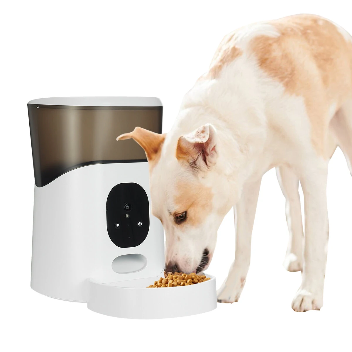 5L Automatic Pet Feeder Timing Recording Voice APP control Intelligent Dog Feeding Cat Bowls Puppy Supplies - US Plug