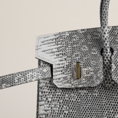 Birkin 25cm Lizard skin 1B Ombre GHW