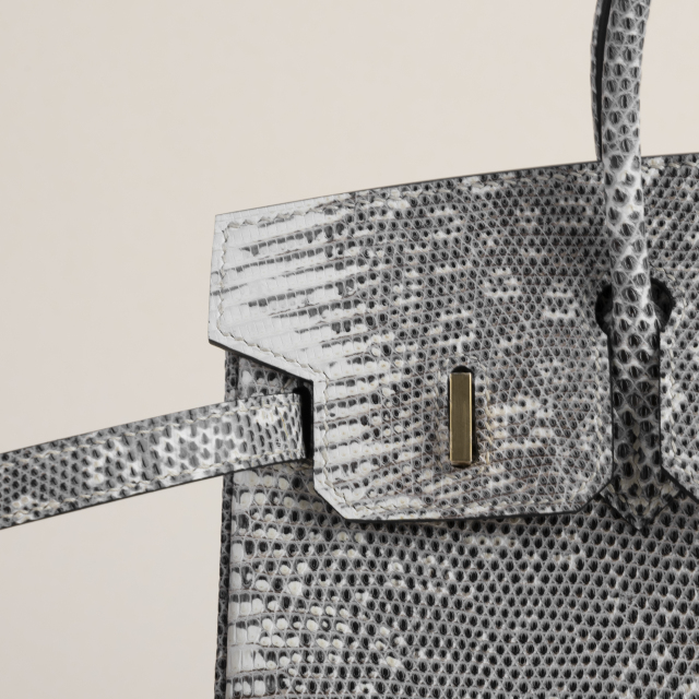 Birkin 25cm Lizard skin 1B Ombre GHW