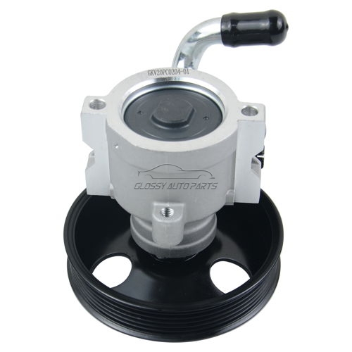 Power Steering Pump Chevrolet Captiva 2.4 4WD LPG C100 Vauxhall Antara 2.4 96626562 96626563 96626762 96626763